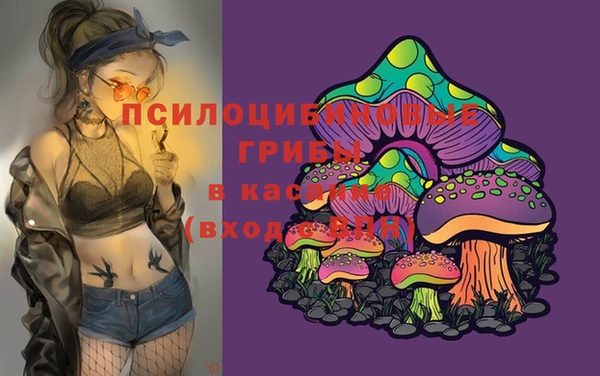 шишки Зерноград