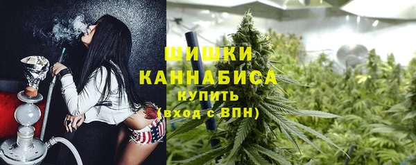 прущие грибы Заводоуковск