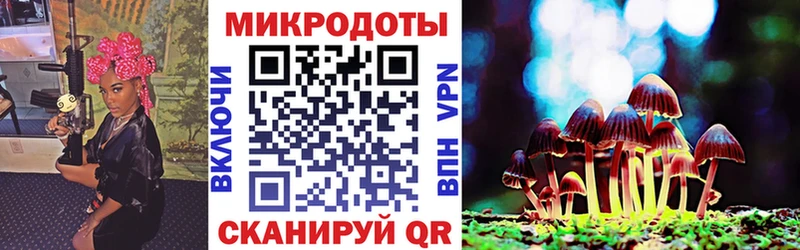 МЕГА онион  Неман  Псилоцибиновые грибы MAGIC MUSHROOMS  наркота 